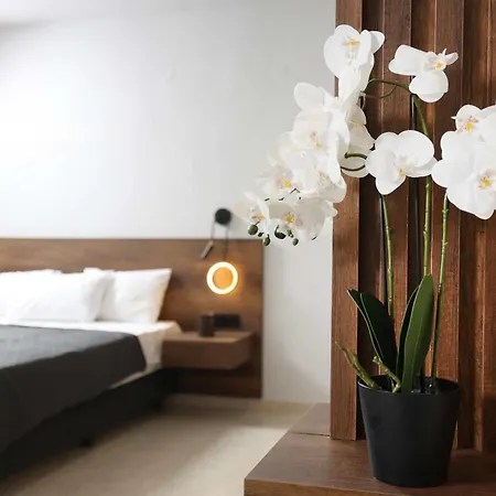 شقة Danae Comfort Living *