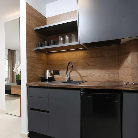 Danae Comfort Living Apartment Pefkochori