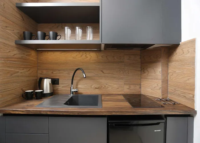 公寓 Danae Comfort Living *