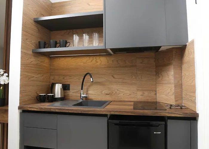 Danae Comfort Living 公寓 *